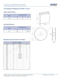 P295BL332M500A Datasheet Page 11