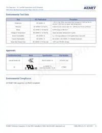 P409CP104M275AH151 Datasheet Page 4