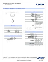 PEG130MH3900QL1 Datenblatt Cover