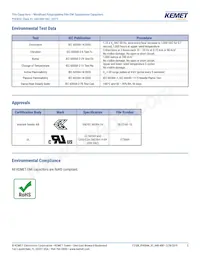 PHE844RR7100MR06L2 Datasheet Pagina 5