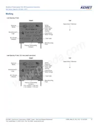 R463I26805001K Datasheet Page 12