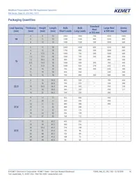 R463I26805001K Datasheet Page 14