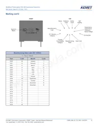 R46KI23300001M Datasheet Page 13