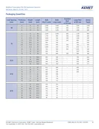 R46KI23300001M Datasheet Pagina 14