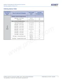 R46KN368040H1M Datasheet Pagina 2