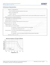 R46KN368040H1M Datasheet Pagina 4