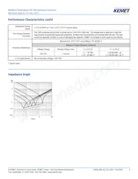 R46KN368040H1M Datasheet Page 5