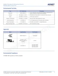 R46KN368040H1M Datasheet Page 6