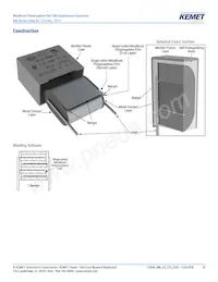 R46KN368040H1M Datasheet Pagina 10