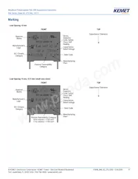 R46KN368040H1M Datasheet Pagina 11