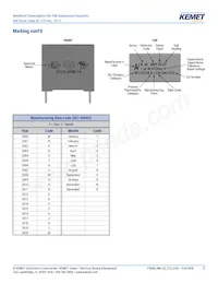 R46KN368040H1M Datasheet Page 12