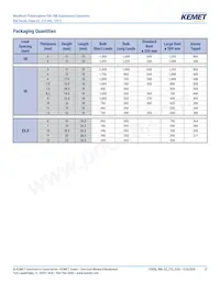 R46KN368040H1M Datasheet Page 13