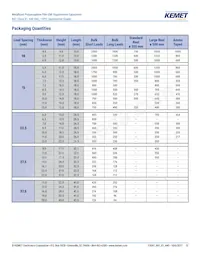 R474N3100JBA1M Datasheet Page 13