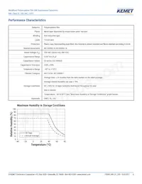 R49AI247000B1M Datasheet Page 4