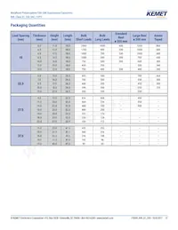 R49AI247000B1M Datasheet Page 13