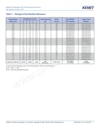 R49AI310040M1M Datasheet Pagina 7