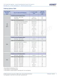 R60PR4100AA50K Datasheet Page 2
