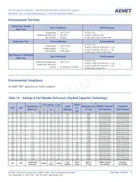 R60PR4100AA50K Datasheet Page 8