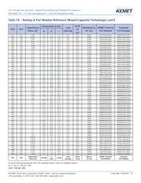 R60PR4100AA50K Datasheet Pagina 13