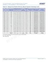 R60PR4100AA50K Datasheet Page 14