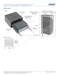 R60PR4100AA50K Datasheet Page 17