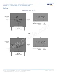 R60PR4100AA50K Datasheet Page 19