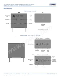 R60PR4100AA50K Datasheet Page 20