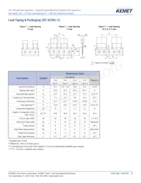 R60PR4100AA50K Datasheet Page 22