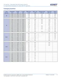 R71VI33304030K Datasheet Page 17