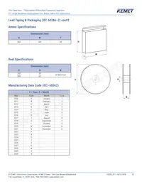 R71VI33304030K Datasheet Page 19