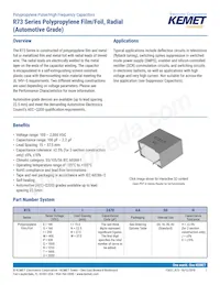 R73UI11004000J Datasheet Cover