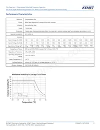 R75IN41804040J Datasheet Page 5