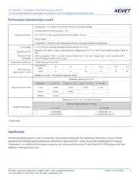 R75IN41804040J Datasheet Page 6