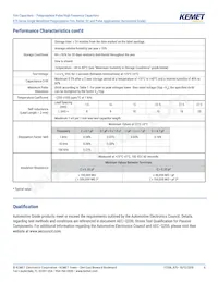 R75IN41804040J Datasheet Pagina 6