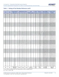 R75IN41804040J Datasheet Page 13