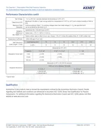 R76PN33304030J Datasheet Page 6