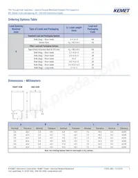 R82EC3220CK70K Datasheet Pagina 2