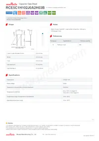 RCE5C1H102J0A2H03B Datasheet Cover