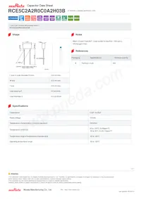 RCE5C2A2R0C0A2H03B Datasheet Copertura