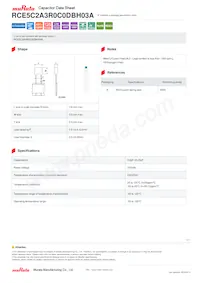 RCE5C2A3R0C0DBH03A Datasheet Cover