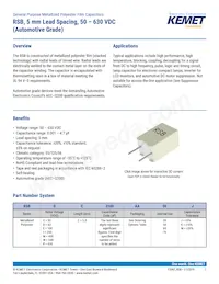 RSBPC2100AA00K Datasheet Cover