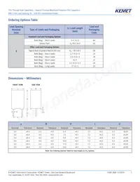 RSBPC2100AA00K Datenblatt Seite 2