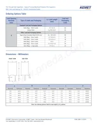 RSBPC2100AA00K Datasheet Page 2