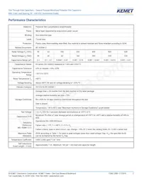 RSBPC2100AA00K Datasheet Page 3