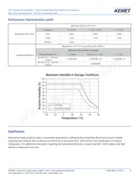 RSBPC2100AA00K Datasheet Pagina 4