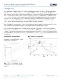 RSBPC2100AA00K Datasheet Page 10