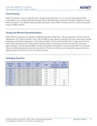 SMC5.7223J100J33TR12 Datasheet Page 11