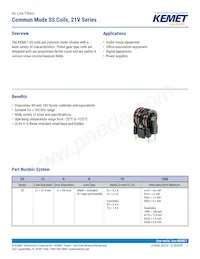 SS21V-R200036 Datasheet Cover
