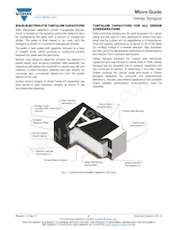 T42M2227M025EZA Datasheet Pagina 8