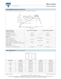 T42M2227M025EZA Datasheet Pagina 12